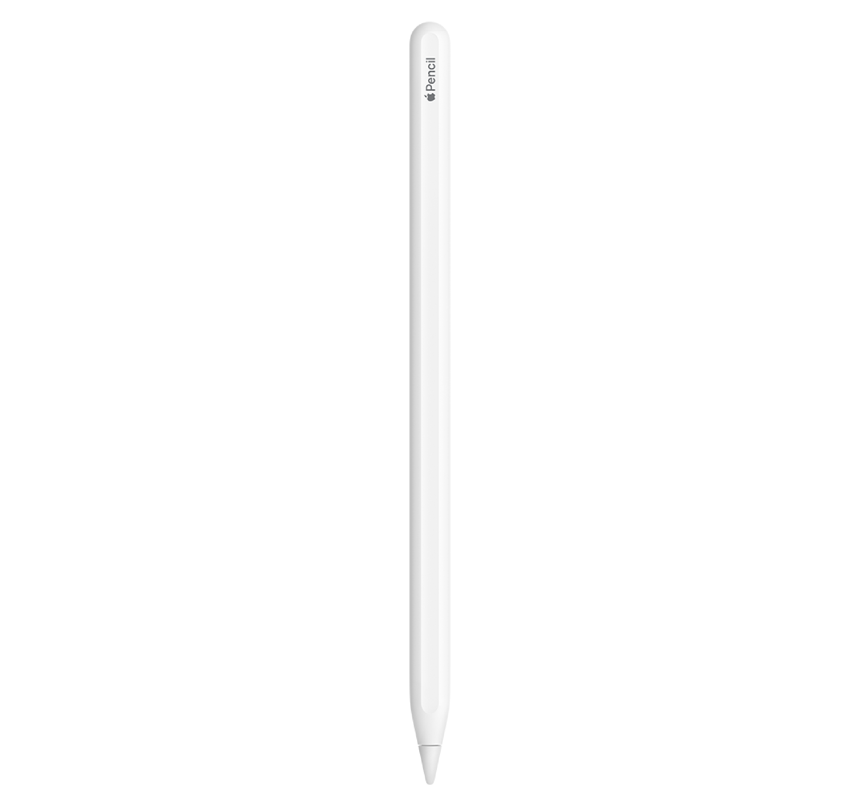 APPLE PENCIL (2ª GEN)
