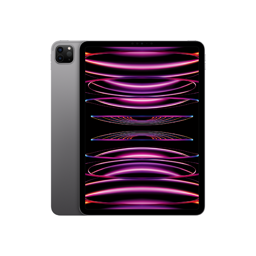 IPAD PRO 11 M2 WIFI 512GB - GRIS ESPACIAL (2022)