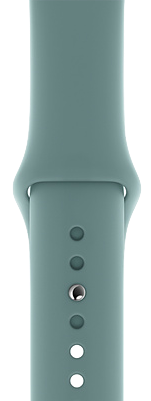 Correa Apple Watch 40mm Sport - Cactus