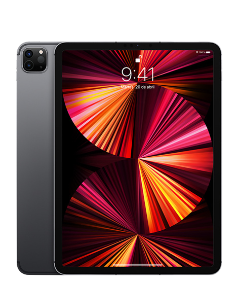 iPad Pro 11 M1 1TB Gris Espacial Wifi