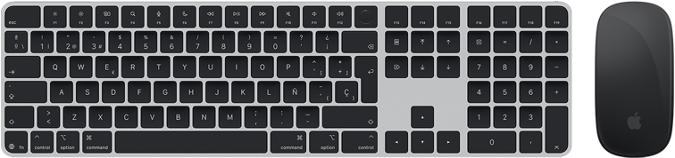 Vista superior del Magic Keyboard con Touch ID y el Magic Mouse