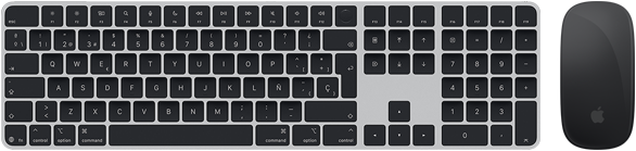 Vista superior del Magic Keyboard con Touch ID y el Magic Mouse