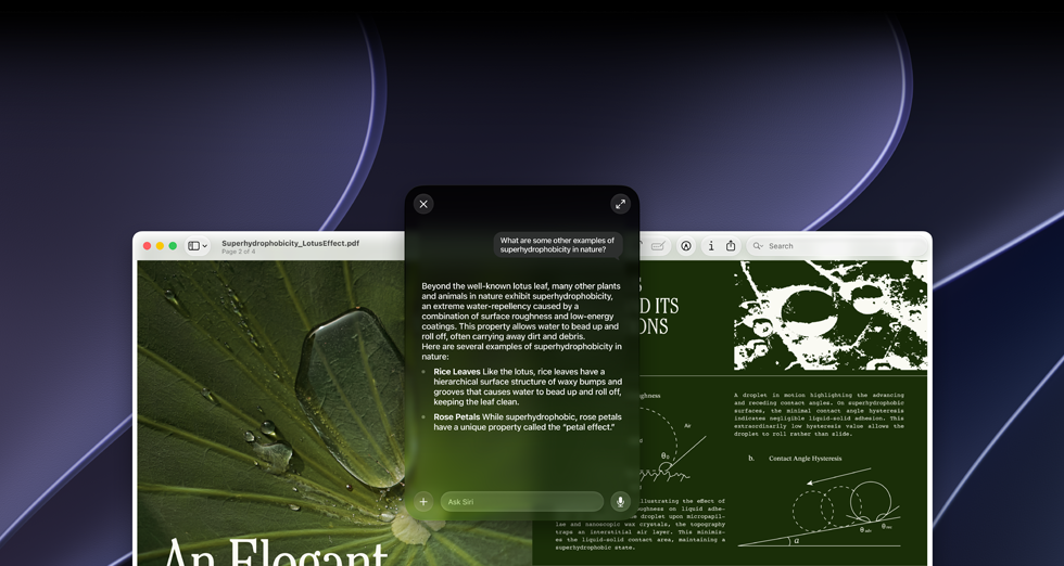 Demostración de Siri e inteligencia visual, una consulta sobre un tema en un PDF en la pantalla de un Mac, ¿Qué otros ejemplos hay de superhidrofobia en la naturaleza?, respuesta de Siri